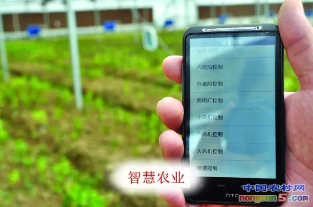 “生態(tài)智慧農(nóng)業(yè)”的實際運用及發(fā)展趨勢