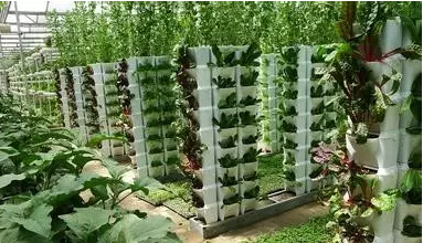 “生態(tài)智慧農(nóng)業(yè)”的實際運用及發(fā)展趨勢