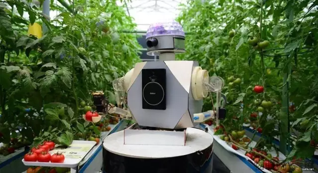 “生態(tài)智慧農(nóng)業(yè)”的實際運用及發(fā)展趨勢